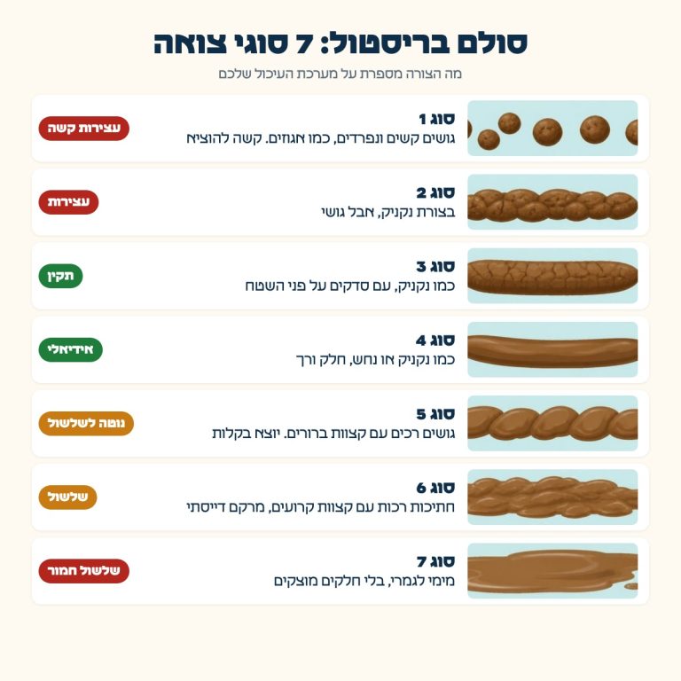סולם בריסטול: שבעת סוגי הצואה