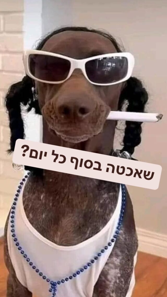 אני האחרון שאתווכח על כמה שהחיים יכולים להיות מלחיצים, מאתגרים, מעמתים או מפחידים 

אני גם האחרון שיציג תמונה שאומרת שגם לי אין צורך להסיח את דעתי או למסך את עולמי בשביל להתמודד עם האתגרים בחיי

אני פשוט לא צורך חומרים שמשנים את התודעה שלי בטח שלא על בסיס יומי

אצלי זה יכול להתבטא בבריחה לטלפון, לעבודה, להתאמן, לגלוש, אני מסיח את דעתי עם עשייה 

אני לא אוהב חומרים משני תודעה כי אני לא אוהב להיות בחברת אנשים אחרים כשהם לא מאה אחוז נוכחים 

מה המהות אם אני לא באמת פה?

אבל בואו נלך צעד קדימה 

כל פעולה שאני עושה מספרת לעצמי סיפור 

אם אני בוחר לברוח מאשר להתמודד זה אומר שאני דוחה את המפגש עם שינויים שיכולים לפגוע במוּכר והנח זה גם אומר שהם יכולים לשפר את איכות חיי בצורה משמעותית 

אז מה ההבדל בין דפוסים והרגלים?

הרגל הוא משהו שיצרתי בחיי ואני יכול לשנות אותו בכל רגע נתון

דפוס -הוא הרגל שהפך למשהו אוטומטי ובלי הבחירה שלי יותר

דפוסים לרוב מערפלים את הערנות שלי מדברים שאני צריך להתעמת איתם ולתקן

אומץ למשל,  זה להפגש עם היכולת שלי להתעמת עם דפוס שמתאר מצב בו כבר אין לי בחירה על שמחת החיים שלי

גישה מחלישה מתארת תפיסה שלא משרתת את היכולת שלי להתמודד עם מצב, אירוע או משבר שאני עובר בחיי

בסופו של דבר אם אני נמנע מלפגוש את החיים כמו שהם ואת העוצמות שלי עד הסוף

זו חתיכת פשרה לחיים הללו

אז איך אתה רוצה להתמודד עם הקושי - דרך בריחה או דרך התמודדות?